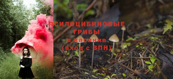 ECSTASY Краснотурьинск