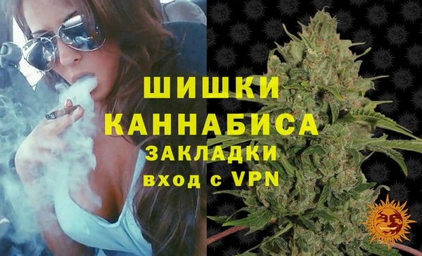 прущие грибы Кулебаки