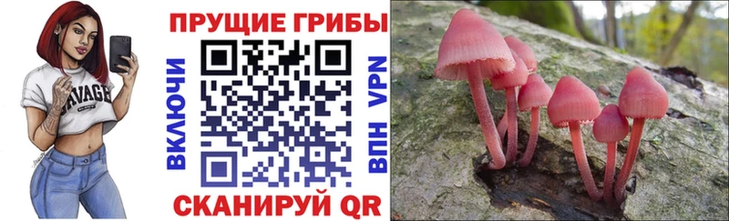 Псилоцибиновые грибы MAGIC MUSHROOMS  Печоры 